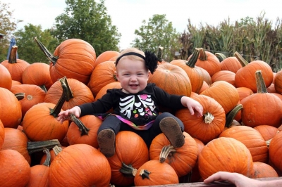 Great Pumpkin Farm Fall Festival